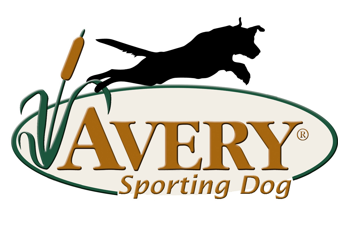 Avery Sporting Dog