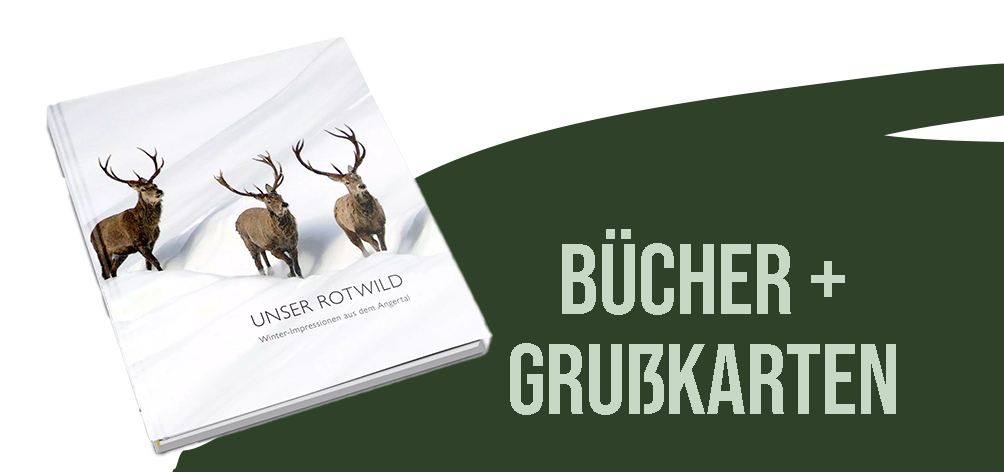 Bücher + Grußkarten